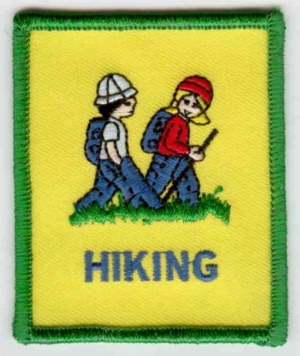 Where Can You Buy A Kite Patch