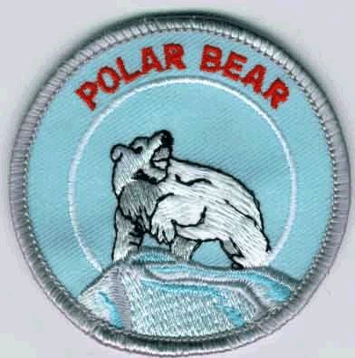 Polar Bear