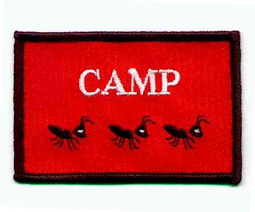 Camp Ants