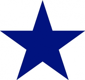 Blue Star Iron-on