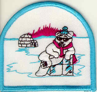Polar Bear on Ice Cubes