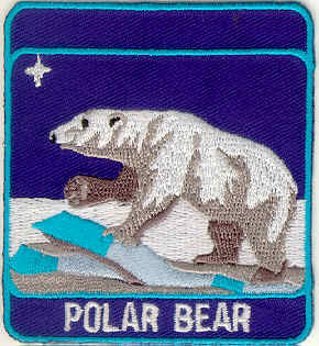 Polar Bear